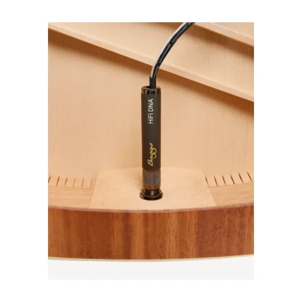 L.R. Baggs HiFi DNA